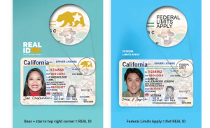 Comparing REAL ID with non-REAL ID license